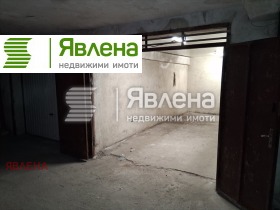 ����� ������� �����,���� �����, �������