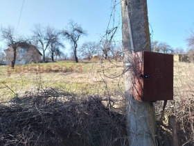 ����� ������� ������,�. ������, ������ ������