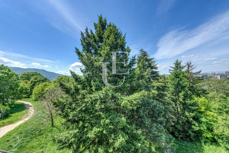 Продава  4-стаен град София , Лозенец , 240 кв.м | 71776287 - изображение [11]