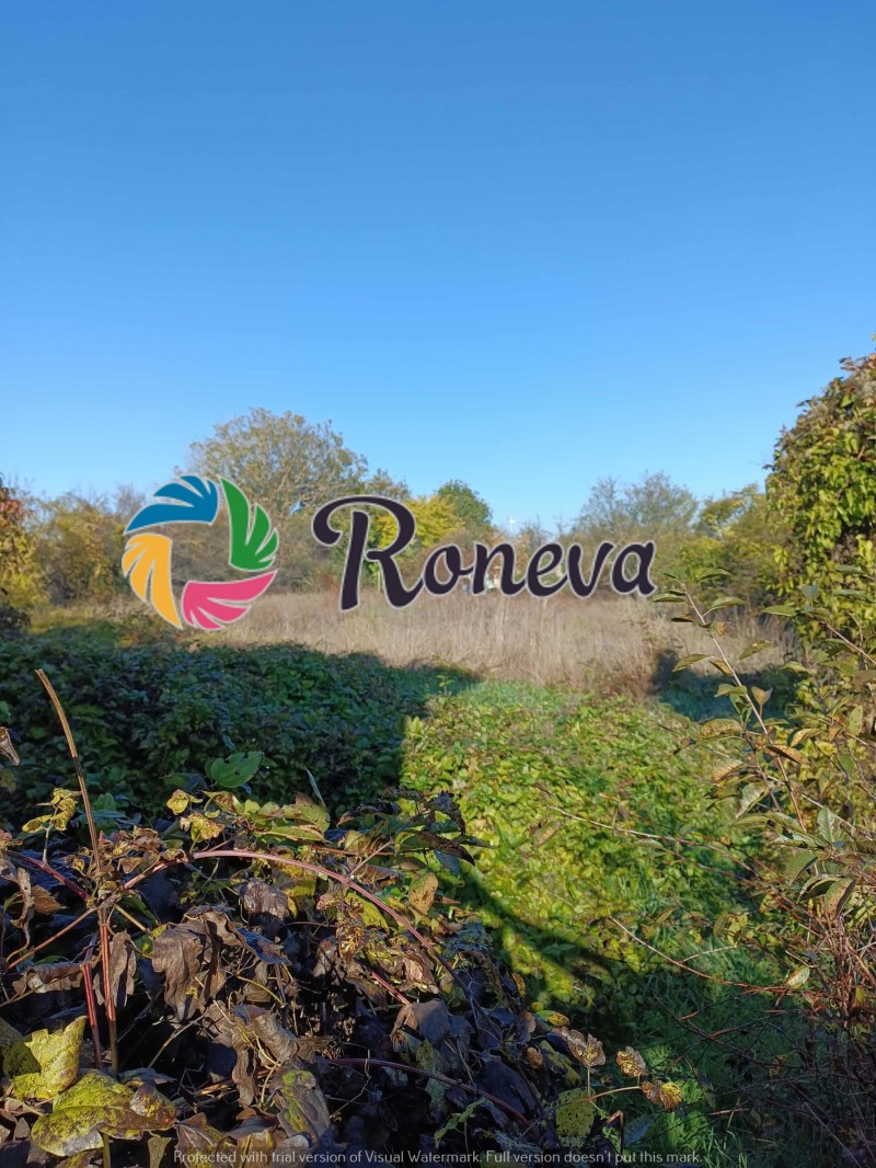 Продава КЪЩА, с. Климентово, област Варна, снимка 7 - Къщи - 52198289