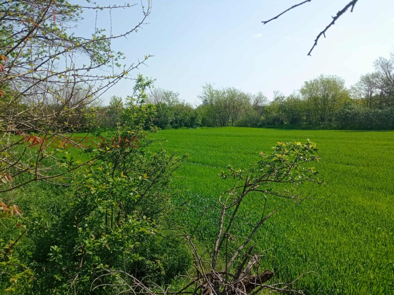 Продава ПАРЦЕЛ, с. Бутан, област Враца, снимка 4 - Парцели - 52757464