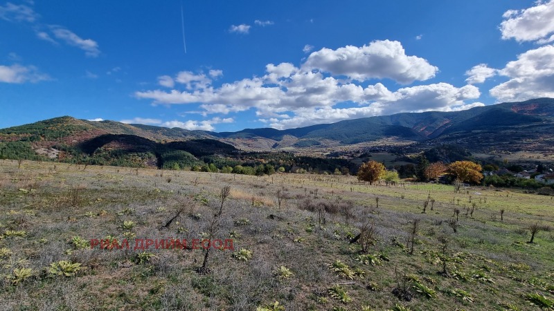 Продава ПАРЦЕЛ, с. Хвойна, област Смолян, снимка 3 - Парцели - 52314634