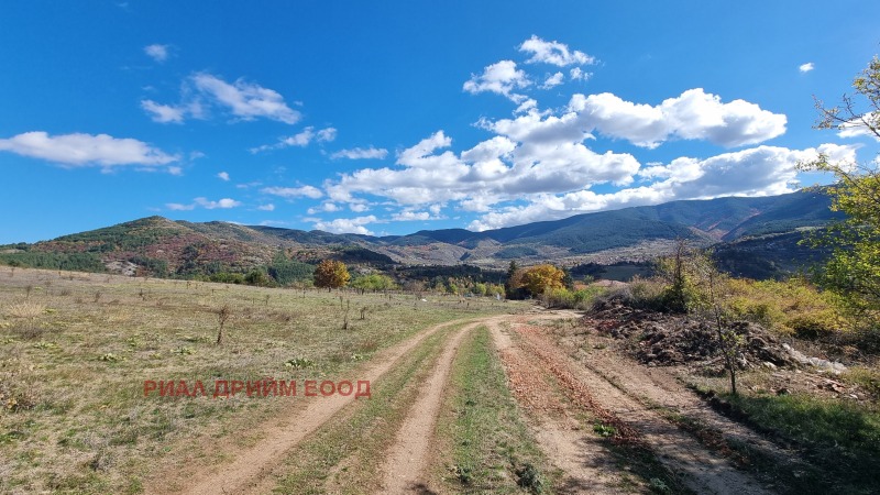 Продава ПАРЦЕЛ, с. Хвойна, област Смолян, снимка 10 - Парцели - 52314634