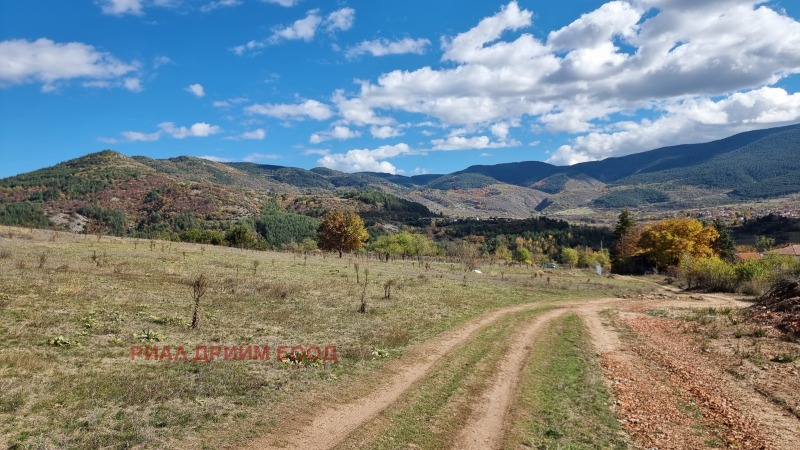 Продава ПАРЦЕЛ, с. Хвойна, област Смолян, снимка 8 - Парцели - 52314634