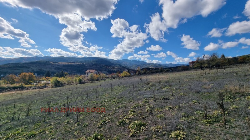 Продава ПАРЦЕЛ, с. Хвойна, област Смолян, снимка 12 - Парцели - 52314634