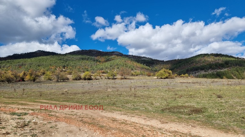 Продава ПАРЦЕЛ, с. Хвойна, област Смолян, снимка 6 - Парцели - 52314634