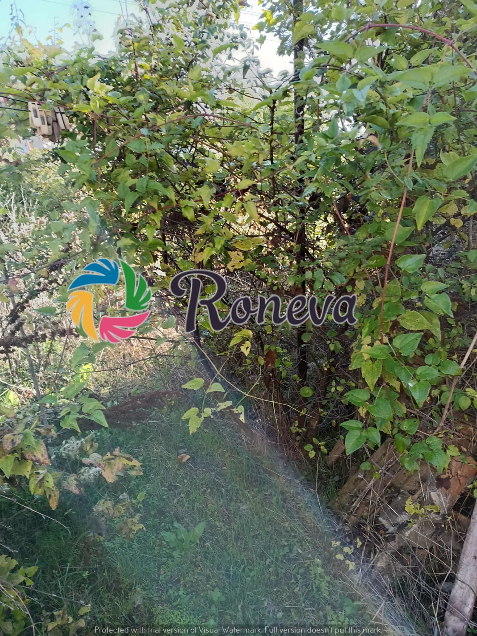 Продава КЪЩА, с. Климентово, област Варна, снимка 4 - Къщи - 52198289