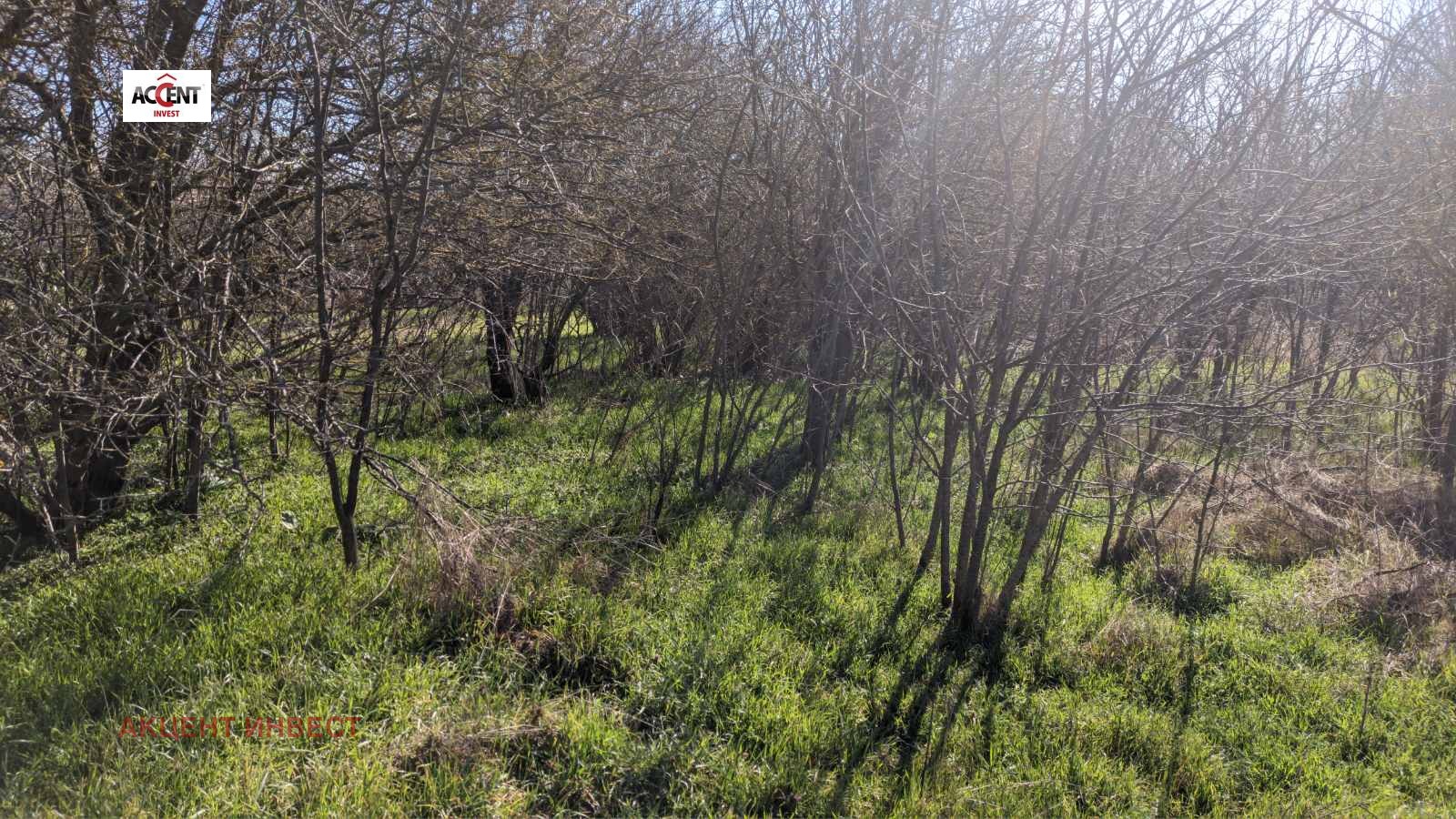 Продава КЪЩА, с. Левски, област Варна, снимка 3 - Къщи - 53883244