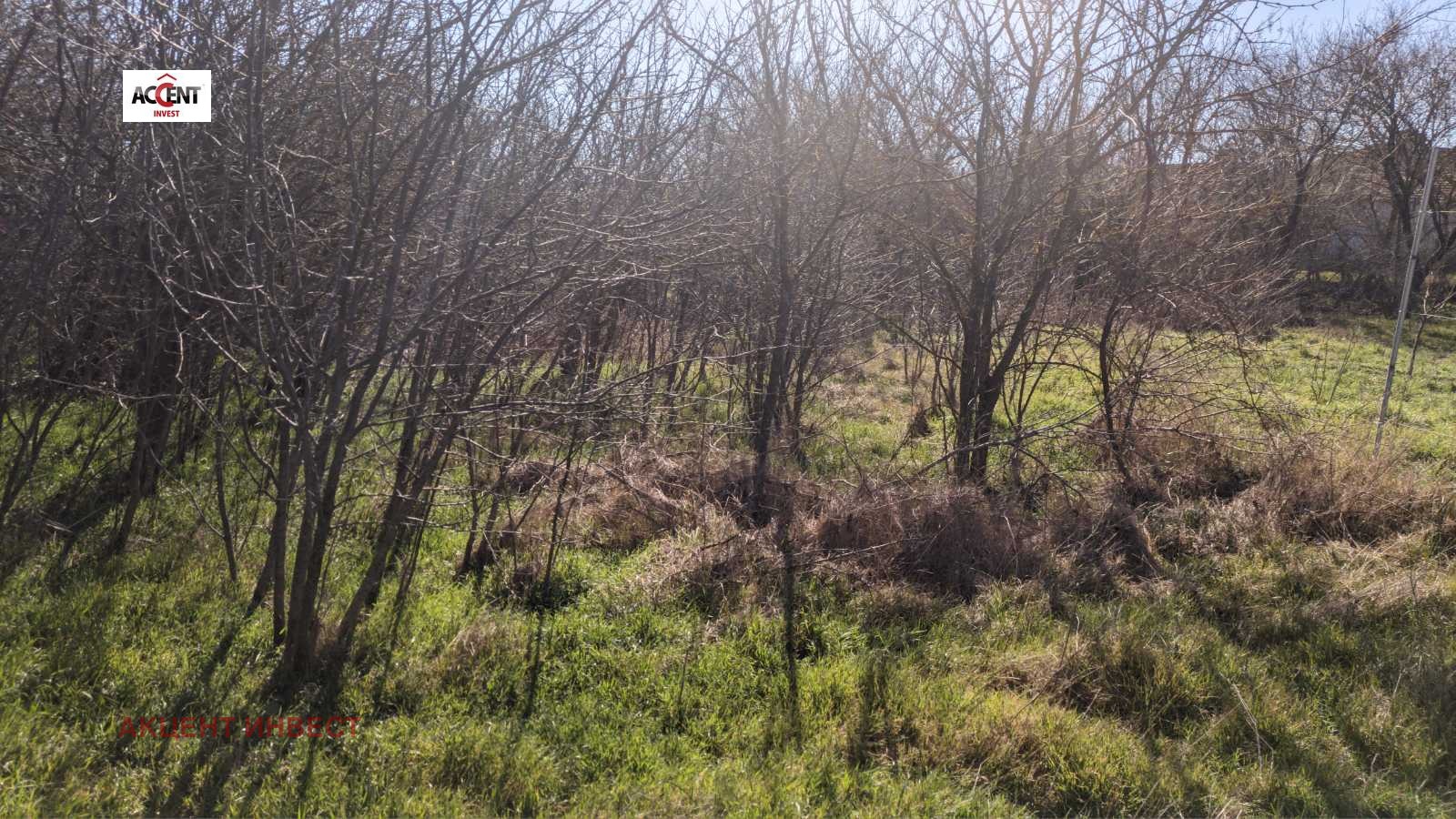 Продава КЪЩА, с. Левски, област Варна, снимка 6 - Къщи - 53883244