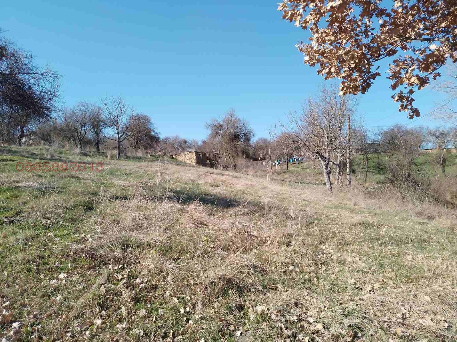 Продава ПАРЦЕЛ, с. Прибой, област Перник, снимка 2 - Парцели - 54186370