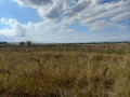 Продава ПАРЦЕЛ, гр. Божурище, област София област, снимка 6
