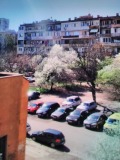 Продава 3-СТАЕН, град София, Толстой • 165000 € • 43556742 — Holmes.bg