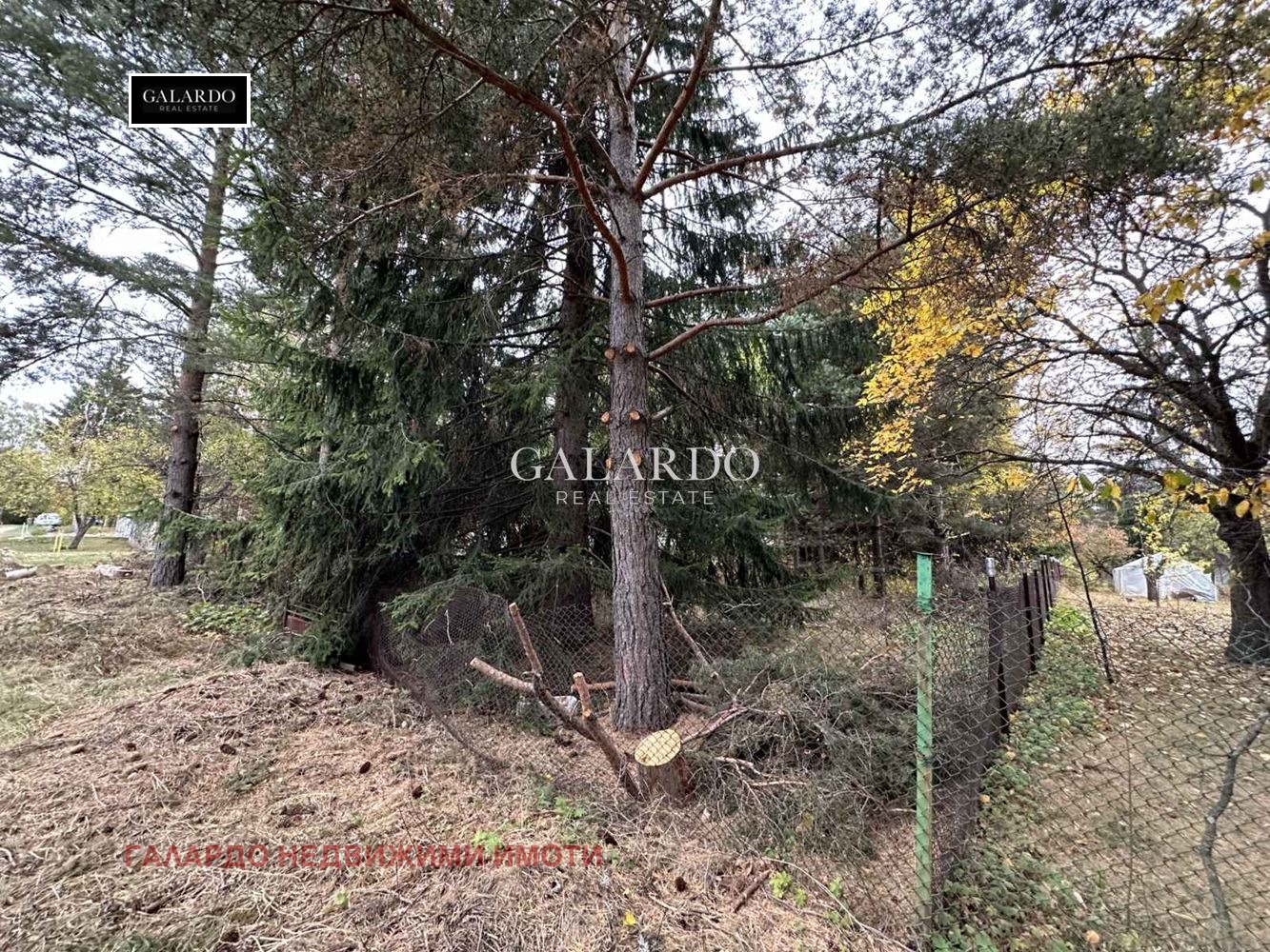 ������� ������ | Imot.bg � ����������� 3