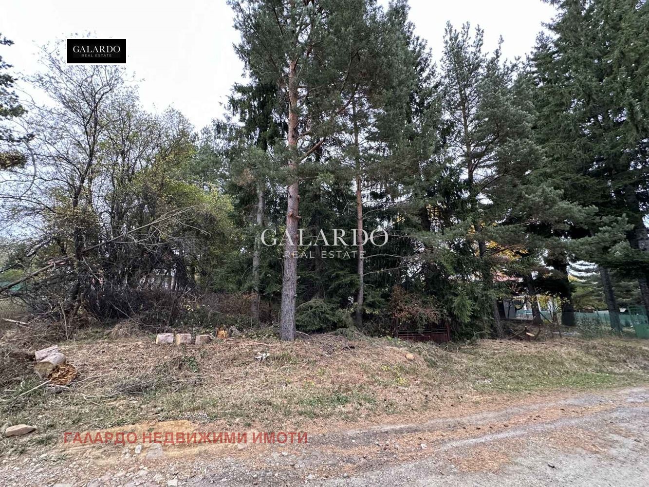 ������� ������ | Imot.bg � ����������� 11