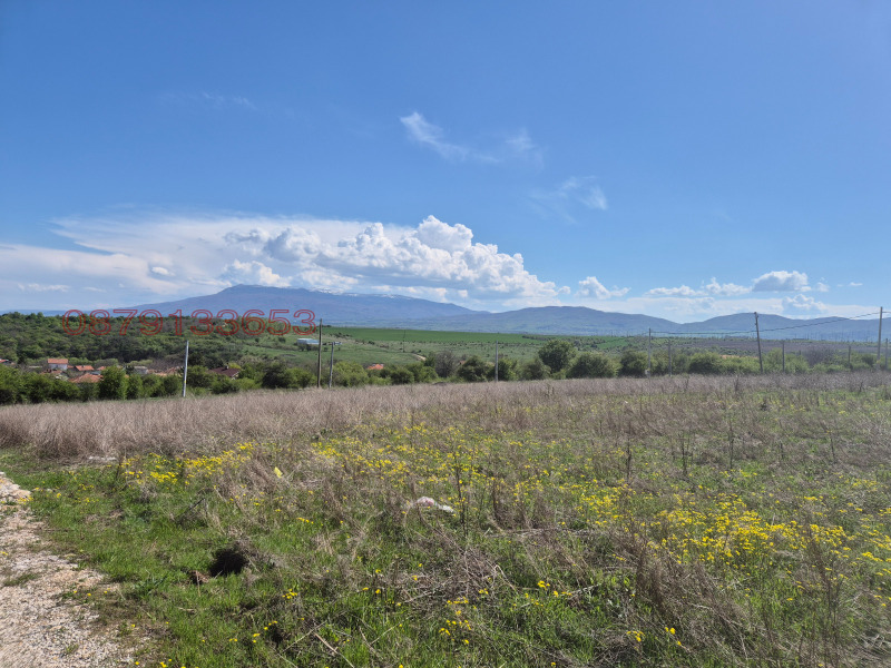 Til salg  Grund region Sofia , Gurmazovo , 781 kvm | 65497777 - billede [4]