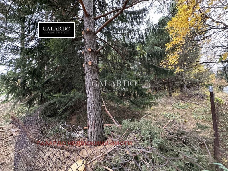 Продава ПАРЦЕЛ, в.з.Ярема, област София област, снимка 4 - Парцели - 52850958