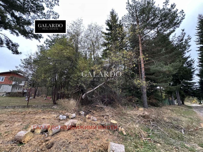 Продава ПАРЦЕЛ, в.з.Ярема, област София област, снимка 2 - Парцели - 52850958