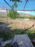 Продава КЪЩА, област Пазарджик, с. Огняново • 134000 € • 71605259 — Holmes.bg