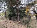 Продава ПАРЦЕЛ, в.з.Ярема, област София област, снимка 3