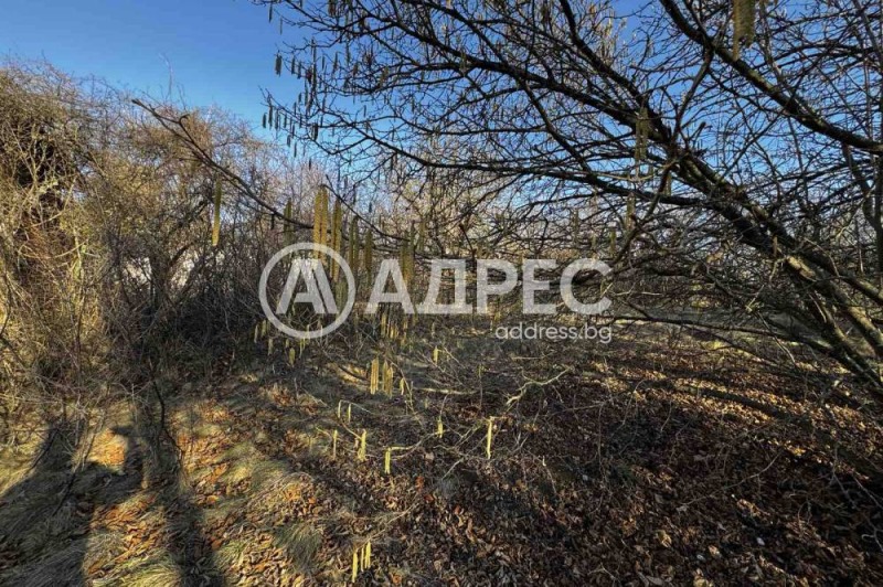 Eladó  Cselekmény régió Pernik , Priboj , 1200 négyzetméter | 68855585 - kép [4]