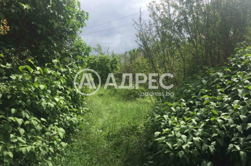 Eladó  Cselekmény régió Pernik , Priboj , 1200 négyzetméter | 68855585 - kép [2]