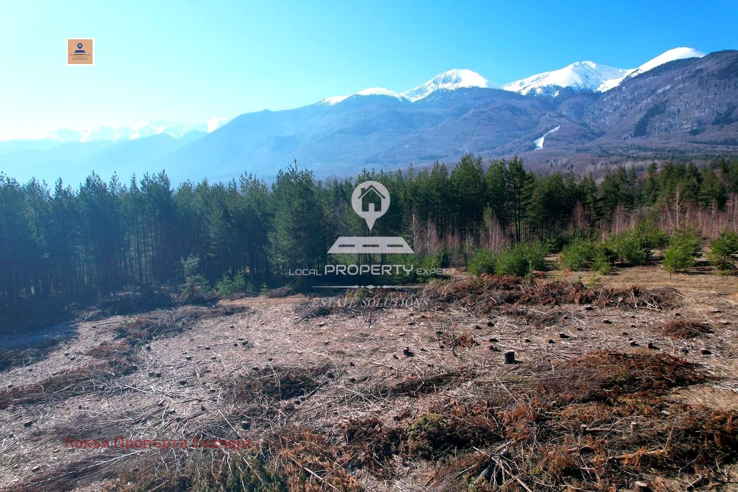 ������� ������ | Imot.bg � ����������� 2