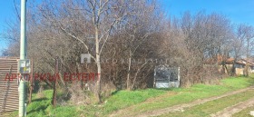 ����� ������� ������,�. ��������, ������ �����