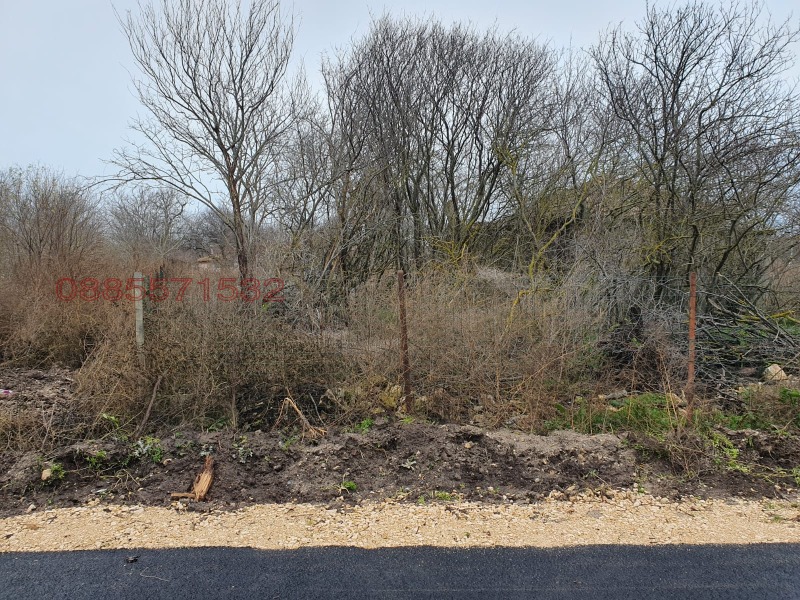 Продава КЪЩА, с. Крапец, област Добрич, снимка 3 - Къщи - 52779381