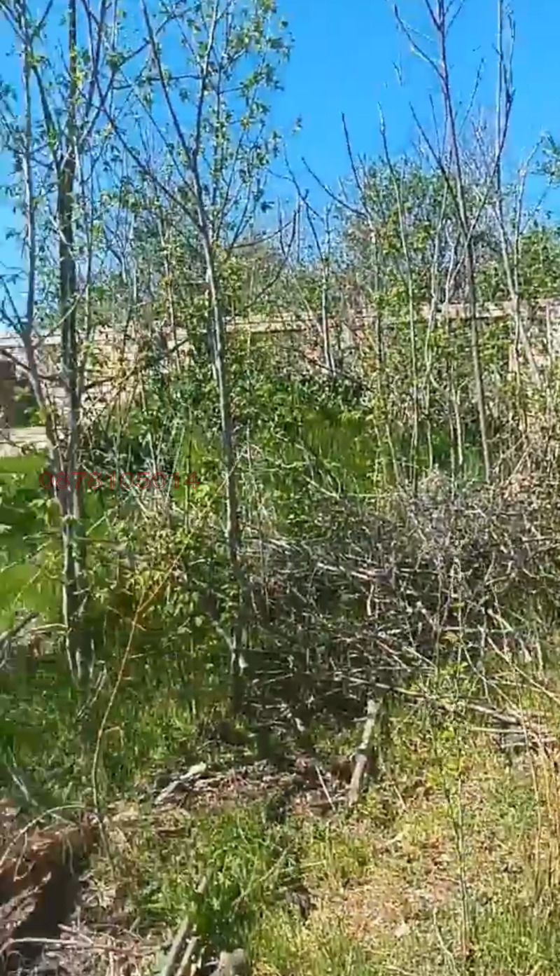 Na prodej  Spiknutí oblast Varna , Nevša , 1000 m2 | 69920490 - obraz [8]