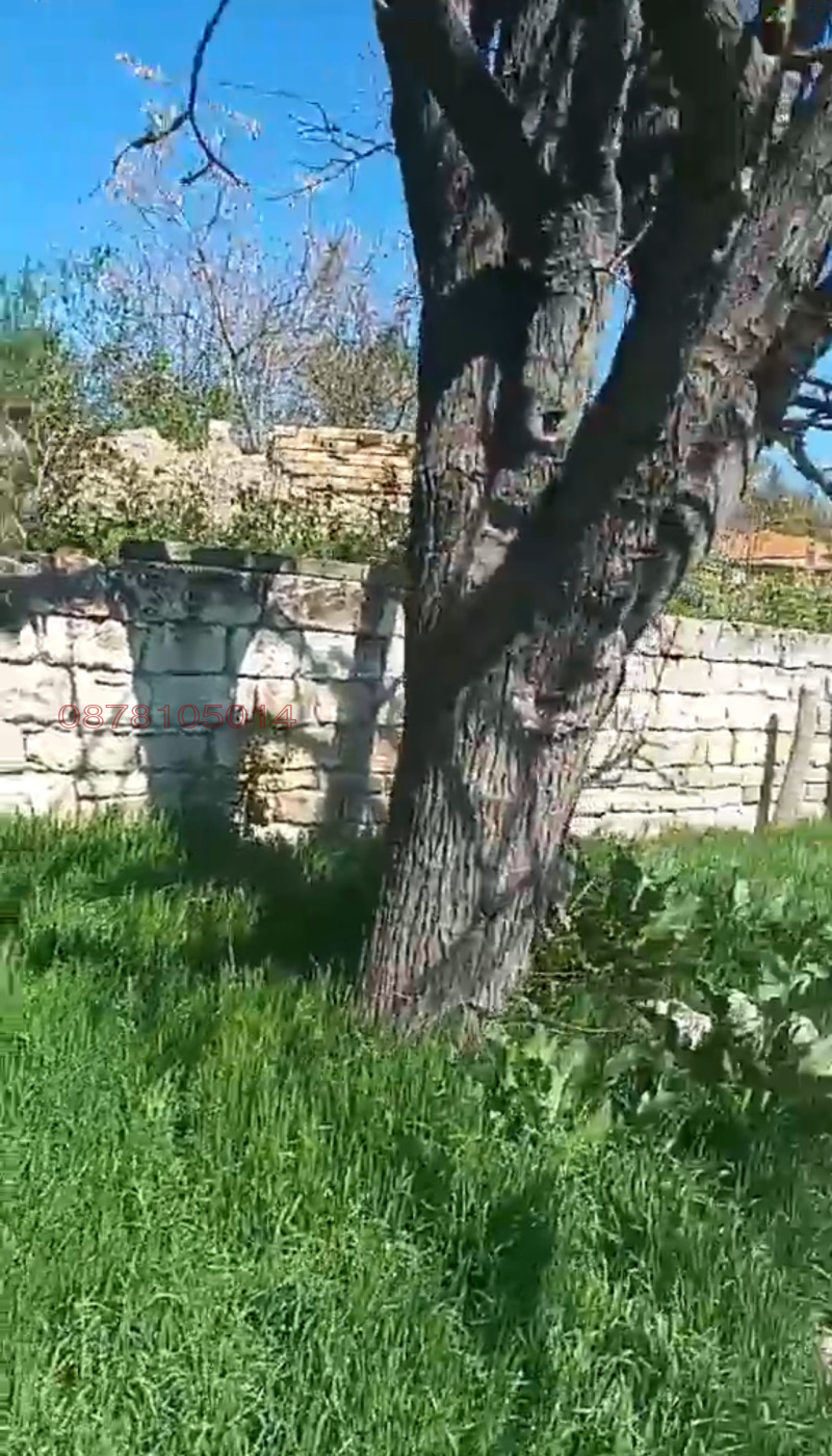 Na prodej  Spiknutí oblast Varna , Nevša , 1000 m2 | 69920490