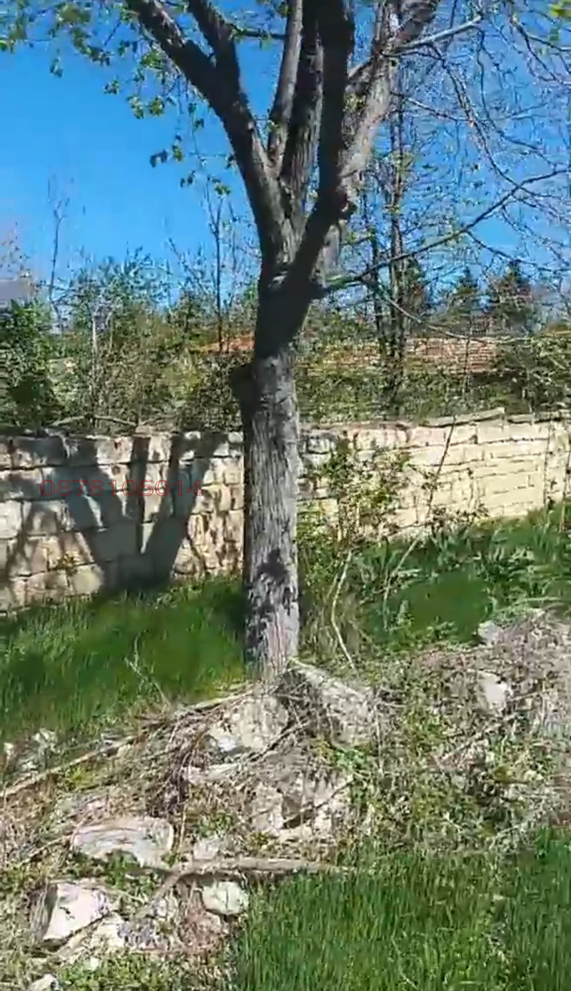 Na prodej  Spiknutí oblast Varna , Nevša , 1000 m2 | 69920490 - obraz [5]