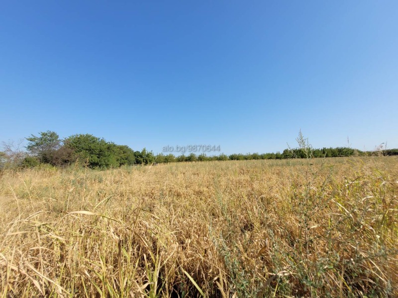 Продава  Парцел област Пловдив , с. Калековец , 10999 кв.м | 71433894 - изображение [6]