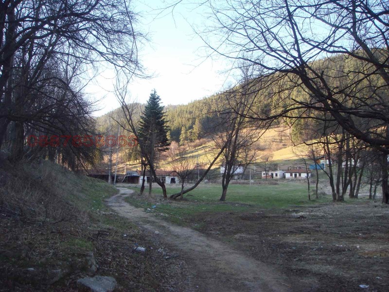Продава ПАРЦЕЛ, гр. Копривщица, област София област, снимка 2 - Парцели - 52775664