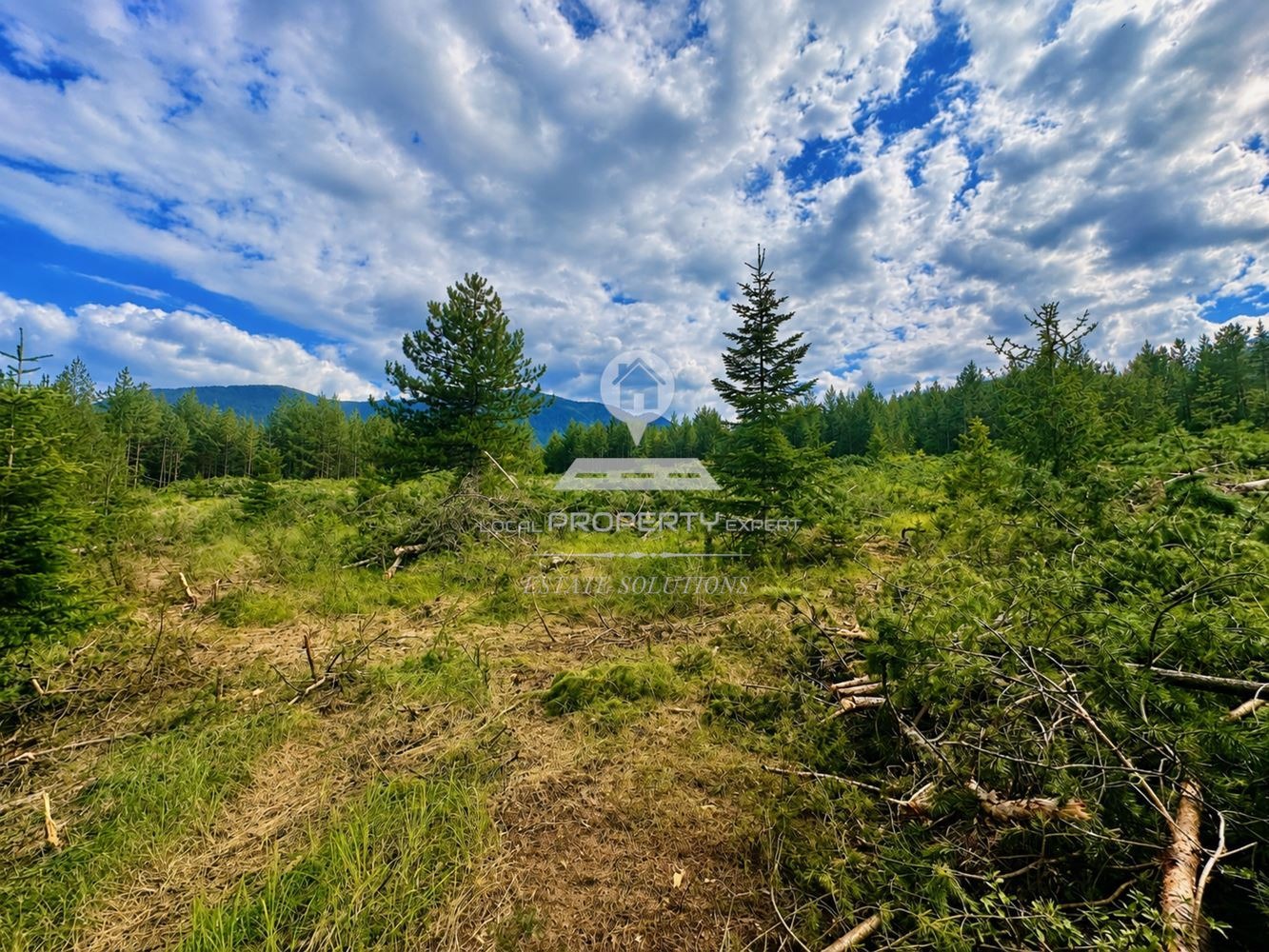 Продава ПАРЦЕЛ, гр. Банско, област Благоевград, снимка 4 - Парцели - 55623019