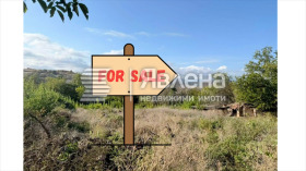 ����� ������� ������,�. �������, ������ �������