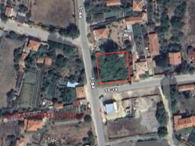 ����� ������� ������,�. ���������, ������ ���������