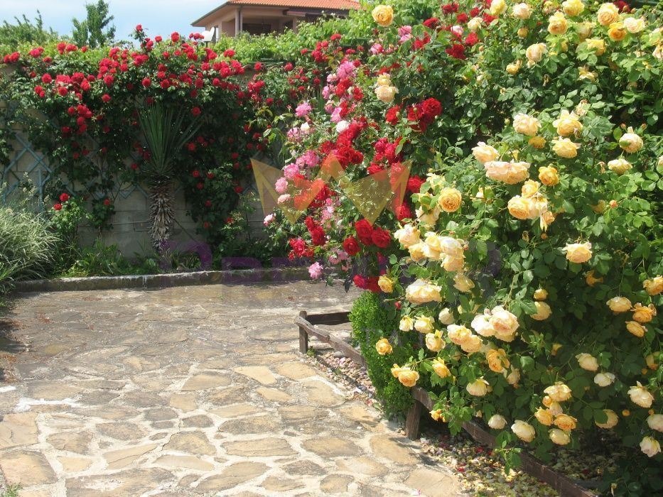 Продава КЪЩА, с. Близнаци, област Варна, снимка 9 - Къщи - 53959161