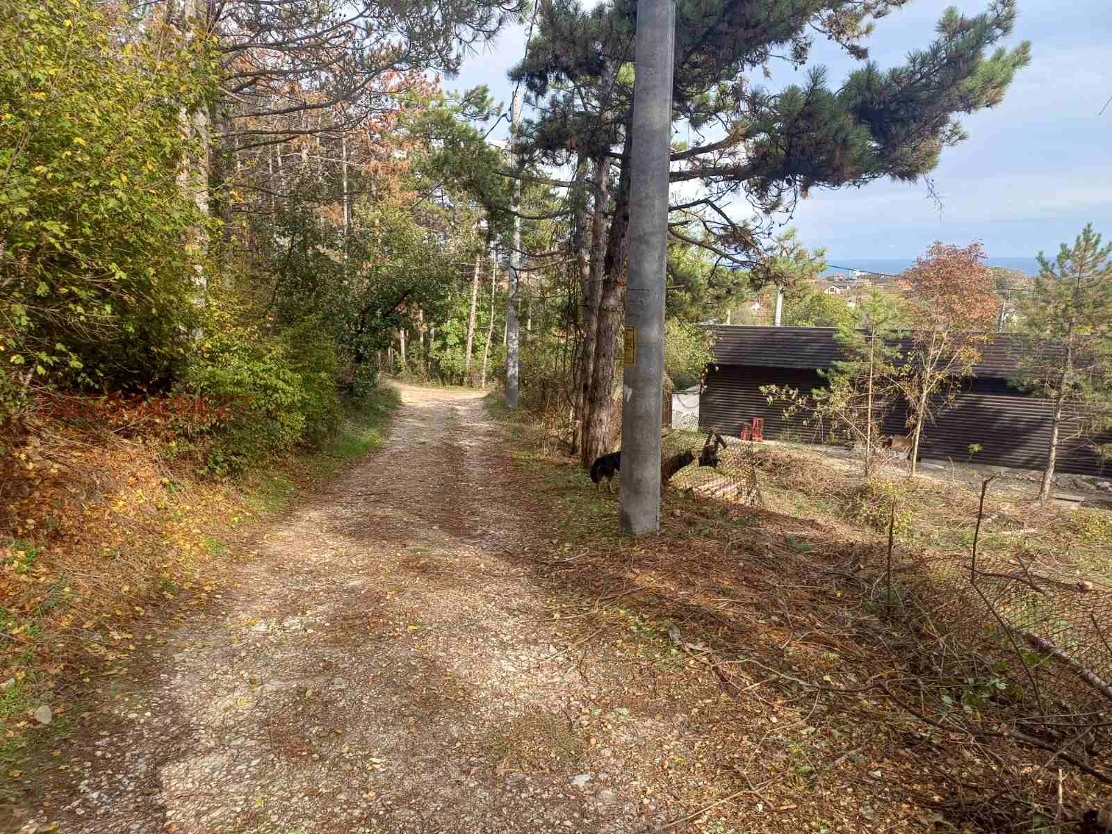 Продава ПАРЦЕЛ, гр. Варна, м-т Горна Трака, снимка 2 - Парцели - 54189770