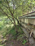 Продава ПАРЦЕЛ, град София, с. Подгумер • 65000 € • 80189633 — Holmes.bg