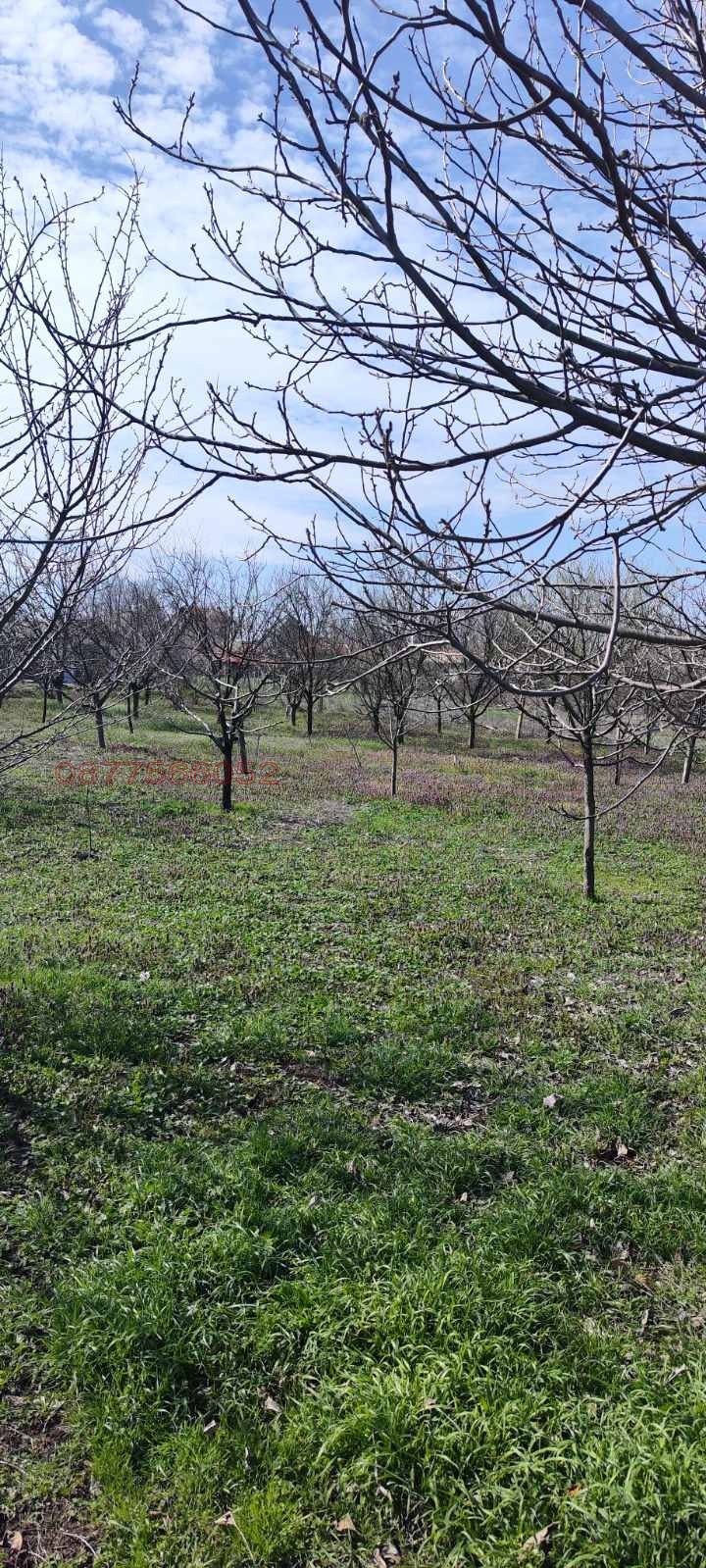 ������� ������ | Imot.bg � ����������� 7