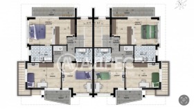 ����� ������� ����,���� �����, ����������