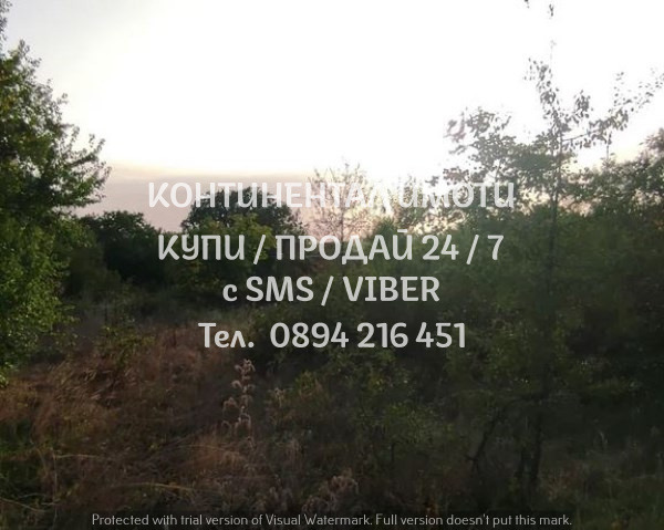 Продава ПАРЦЕЛ, с. Сърнегор, област Пловдив, снимка 2 - Парцели - 54231911