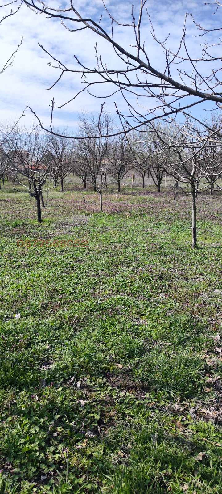 Продава ПАРЦЕЛ, с. Михайлово, област Стара Загора, снимка 3 - Парцели - 54915529