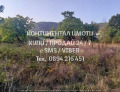 Продава ПАРЦЕЛ, с. Сърнегор, област Пловдив, снимка 1