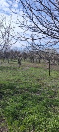 Продава ПАРЦЕЛ, с. Михайлово, област Стара Загора, снимка 7