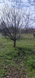 Продава ПАРЦЕЛ, с. Михайлово, област Стара Загора, снимка 6