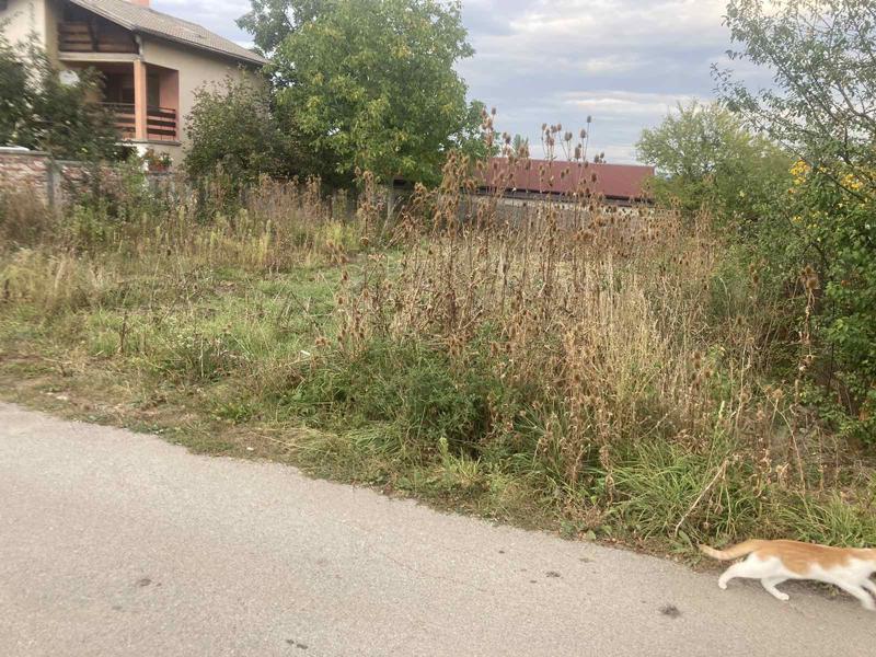 ������� ������ | Imot.bg � ����������� 1