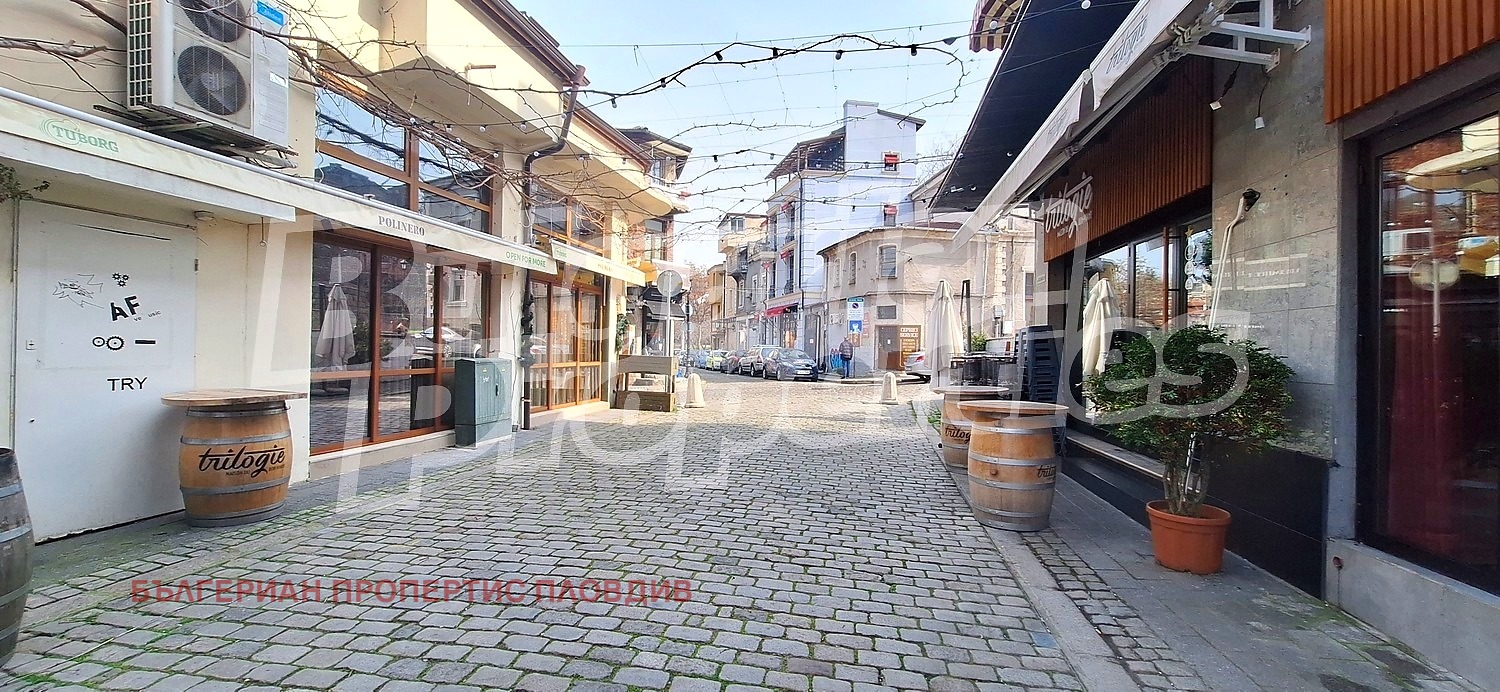 Продава КЪЩА, гр. Пловдив, Център, снимка 8 - Къщи - 53877059