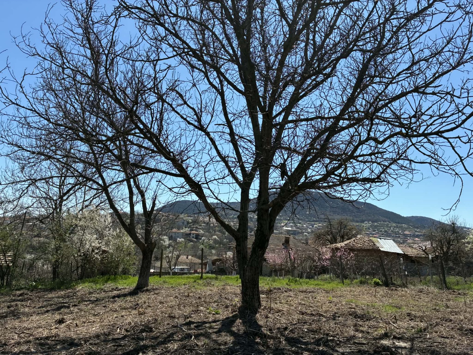 Продава КЪЩА, гр. Опака, област Търговище, снимка 4 - Къщи - 54131897