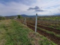 Продава ПАРЦЕЛ, област Бургас, гр. Царево • 59000 € • 51000107 — Holmes.bg